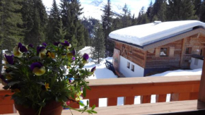 Astn Hütten - Königsleiten - Ferienwohnungen, Almdorf Königsleiten, Österreich
